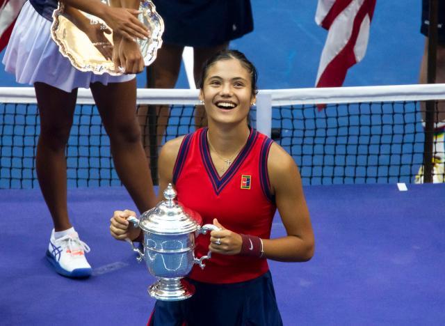 潜在影响 潜在影响