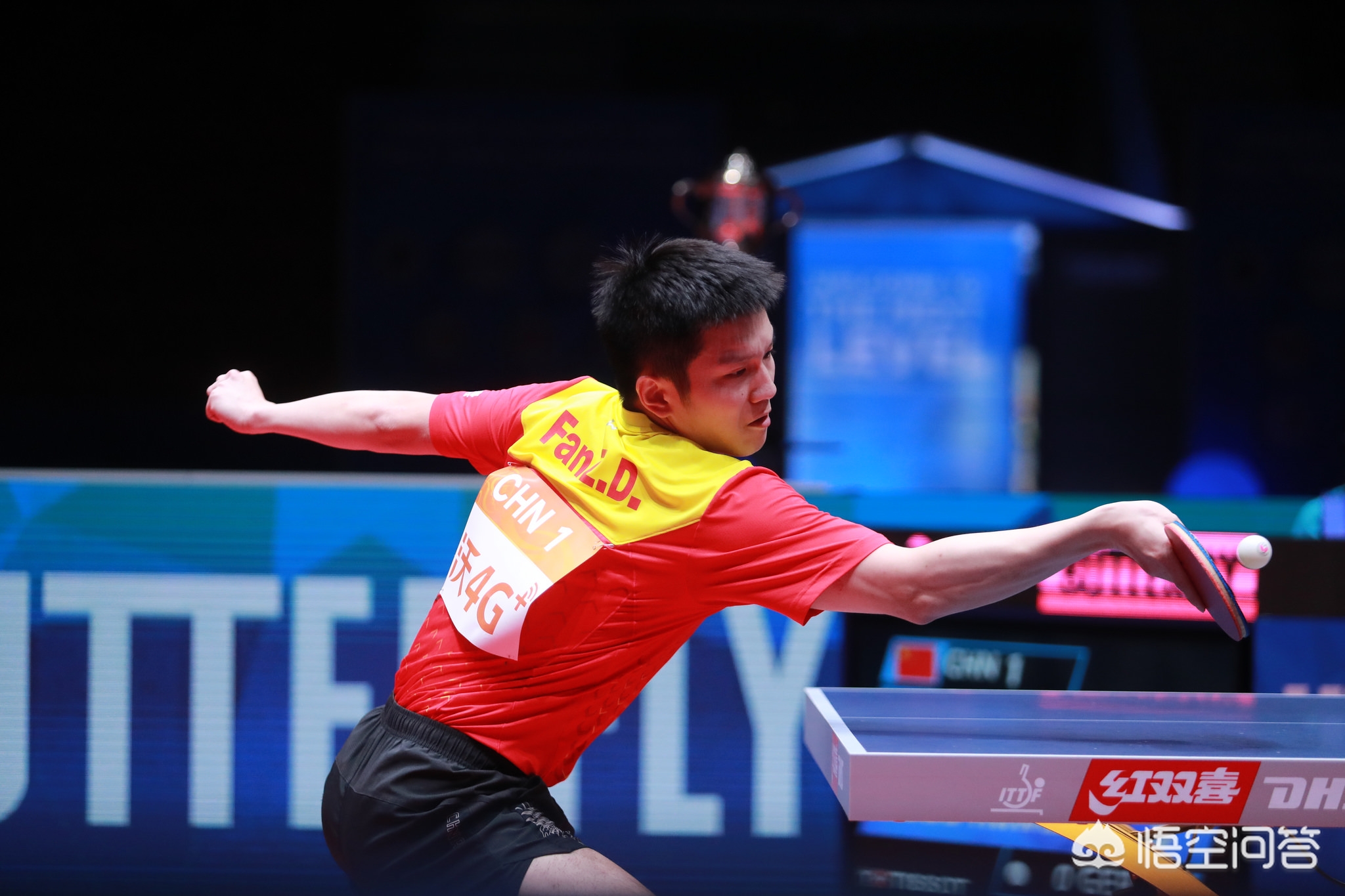 一向以合理 一向以合理