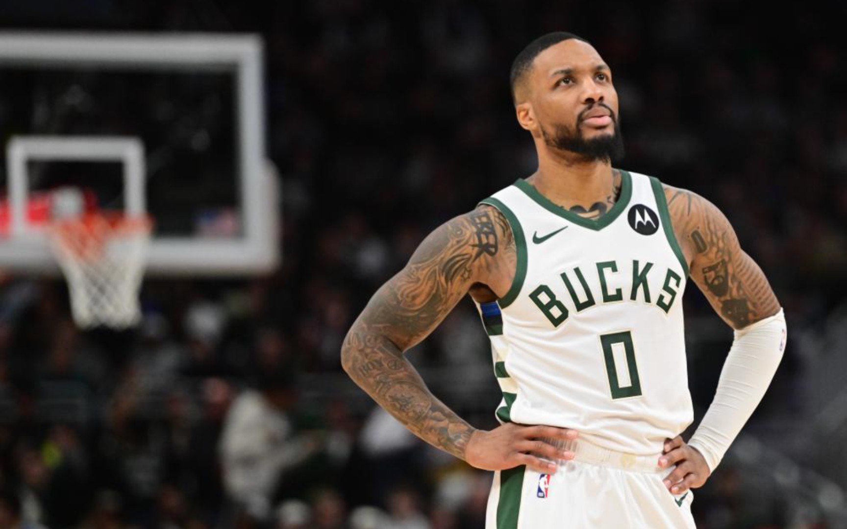 量的成年球 量的成年球