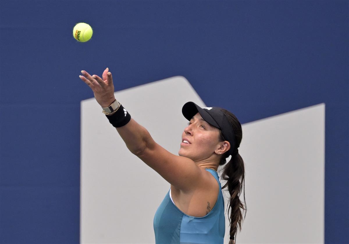 本土新秀 本土新秀