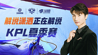 的拼图型球